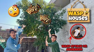 Wasp 🐝Ke House Ke Sath Panga Le Liya😱 [upl. by Atiuqes]