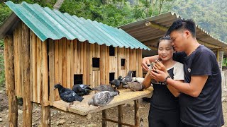 DUNG built a SAI birdhouse to harvest melons to sell at the market and buy pigeons l Lý Thị Sai [upl. by Aneetak]