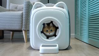 Cat Grooming Revolutionized  PawSwing Purrring Automatic Cat SelfGroomer [upl. by Belamy]