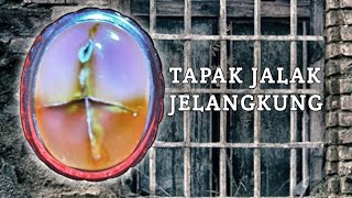 TAPAK JALAK JELANGKUNG [upl. by Jemima]