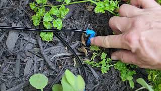 Review JIYANG Solar Automatic Drip Irrigation Kit System [upl. by Norvil578]