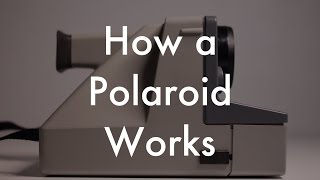 How Does a Polaroid Work [upl. by Simona]