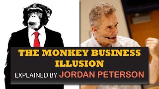 The Monkey Business Illusion Explained By Jordan Peterson [upl. by Aketahs]