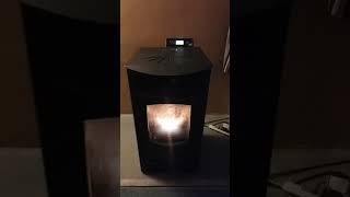 In depth review Castle Serenity Pellet Stove [upl. by Alf]