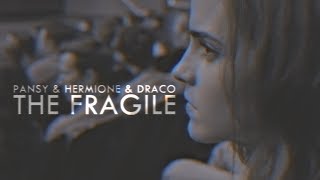 fragile  pansy amp hermione amp draco [upl. by Hanikahs]