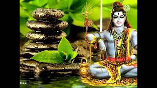 ANALAI VIZHANGUM Sivan bhakthi padagal  Sivan padal Best Tamil devotional songs [upl. by Ratcliffe230]