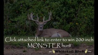 Busted by a Indiana whitetail giant at Whitetail Bluff HUNT GIVEAWAY [upl. by Ailyt]