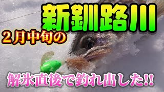 新釧路川のシーズン幕開け速まる‼️【Spin N Glow fishing】ホワイトスポットが水中で輝く、アメマス釣り🎣 [upl. by Maroj]