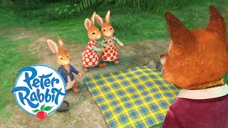 Peter Rabbit  Peters Sisters Go on a Dangerous Gooseberry Picking Adventure  Cartoons for Kids [upl. by Idalia]