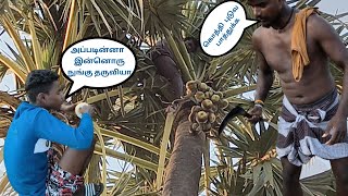 நுங்கு பரிதாபங்கள்  Palm Tree Seasonal Foods  Saravanan Fish [upl. by Hubie]