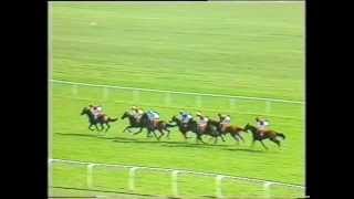 1989 General Accident 1000 Guineas Stakes [upl. by Jacobson194]