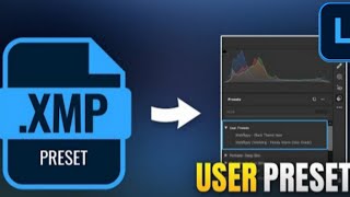 How to ImportInstall Presets in Photoshop  Import XMP File  Photoshop Tutorial [upl. by Atirec409]