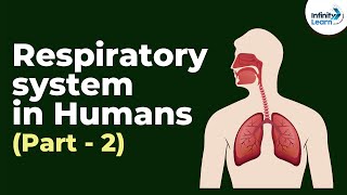 Respiratory system in Humans  Part 2  Dont Memorise [upl. by Dulla561]