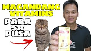 Vitamins ng aming mga pusa Ito dahilan kung bakit sila healthy [upl. by Bellaude]