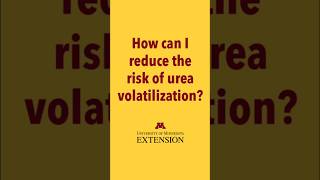 How can I reduce the risk of urea volatilization [upl. by Attennod]