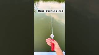 Mini Fishing Rod fishing cauca caucasuoi mtfishing fishingvideo [upl. by Aremat]