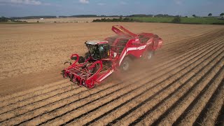 GRIMME VENTOR 4150  ARRACHAGE DE POMMES DE TERRE XXL 🥔🥔 [upl. by Holzman521]