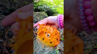 Kids Learn  Animal Names at the Woodland Stream Slug Caterpillar Puffer Fish Penguin Sheep [upl. by Enellek]