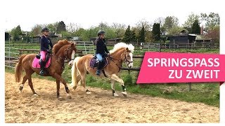 ON TOUR bei Majas Vlogs ⭐️ Mega Spaß ⭐️ beim Springen 🐎 [upl. by Ruberta]