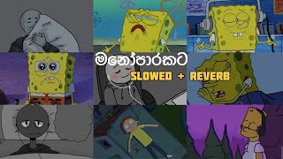 මතක අවුස්සන මනෝපාරකට  Slowed and Reverb Songs  manoparakata sindu playlist 7 [upl. by Aeht8]