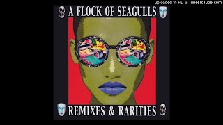 A Flock Of Seagulls  Wishing If I Had A Photgraph Of You US Edit 12quot Promo Version [upl. by Kylila]