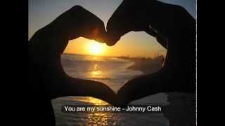 you are my sunshine lyrics Johnny Cash [upl. by Almena]