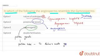 In which of the following the angiosperms resemble the Gymnosperms [upl. by Appolonia]