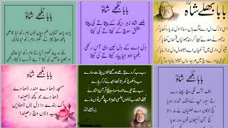 most beautiful quotes of baba bulleh shah  Punjabi shahyari video [upl. by Argyle]