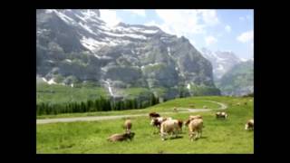 Sound of cowbell in Swiss Alps スイスアルプスのカウベルの響 [upl. by Leyameg608]