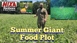 Summer Gaint Food Plot  Nixa Hardware Food Plots [upl. by Mick]