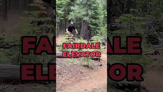 Fairdale Elevator Hardtail MTB Review mtb cycling [upl. by Theis]