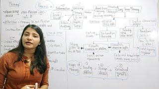 Memory स्मृतिTypes of memory memory and forgetting supertet dsssb mptet uptet ctet cdp [upl. by Ennaitsirk]