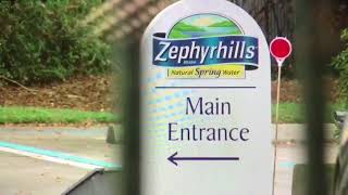 Zephyrhills water not processing new orders  Digital Short [upl. by Magnus]