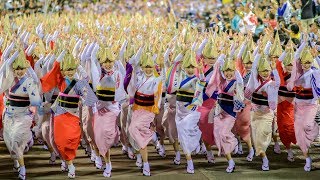 阿波おどりファン必見！徳島市阿波おどり総踊り！！踊り子さんの笑顔がすてき！ Awaodori in Tokushima Japan [upl. by Jerroll]