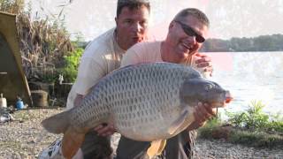 Renmarbaits boiliu gamyba This is how are making Renmarbaits boilies production [upl. by Aihsema]