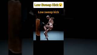 Low Sweep Kick 😮Muay Thai Tricks  Training Kicks anime mma martialarts shorts boxing fighter [upl. by Aniram930]