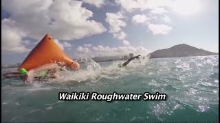 Waikiki Roughwater Swim  24 Miles of the Pacific Await [upl. by Chard]