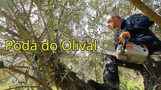 107 Poda do Olival [upl. by Michell]