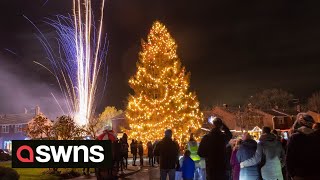 Christmas tree more than 50ft tall after couple plants it in their garden in 1978  SWNS [upl. by Asiruam]