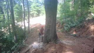 Ray Rogers Grading and Logging [upl. by Shere]