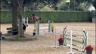 240925 STUART 2018 Clear 125 130 class  Koningsbosch [upl. by Hanni]