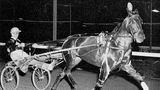 Harness RacingHarold Park23101965 Trotters Cup GramelLChant [upl. by Yellhsa209]