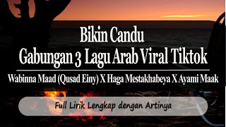 Lagu Arab Viral Tiktok Bikin Candu Wabina Maad Qusad Einii X Habbitak X Ayami Maak Full Lirik [upl. by Anoirtac763]