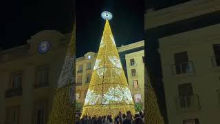 Christmas lights in Malaga Spain 🇪🇸 [upl. by Aihsatan743]