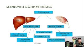 Mecanismo de ação da glibenclamida e metformina [upl. by Wehner]