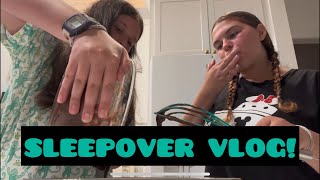 SLEEPOVER VLOG [upl. by Serrano72]