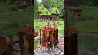 la plus belle maison de la jungle shorts viralvideo shortsfeed [upl. by Vitek311]