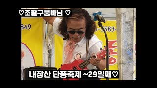 1116토 게스트 하따니품바님 내장산 단풍축제 29일째어느덧 한달이♡ ♡ [upl. by Reisman]