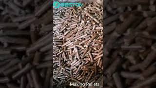 Pellet Making Machine  How to Make Pellets From Biomass [upl. by Heinrick377]