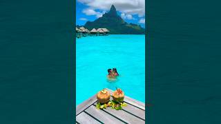 Honeymoon Destination Bora Bora  would you stay here [upl. by Mixie438]